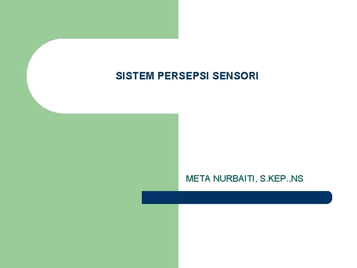 SISTEM PERSEPSI SENSORI META NURBAITI, S. KEP. , NS 