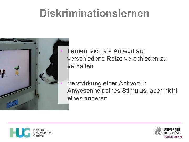 Diskriminationslernen • Lernen, sich als Antwort auf verschiedene Reize verschieden zu verhalten • Verstärkung