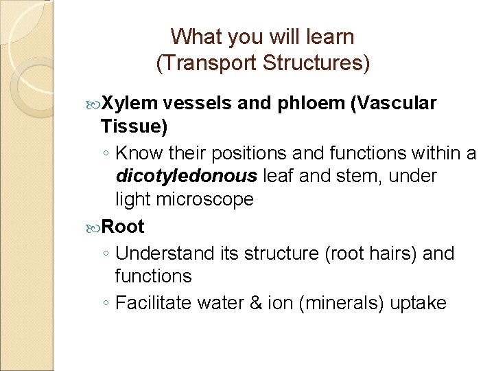 What you will learn (Transport Structures) Xylem vessels and phloem (Vascular Tissue) ◦ Know