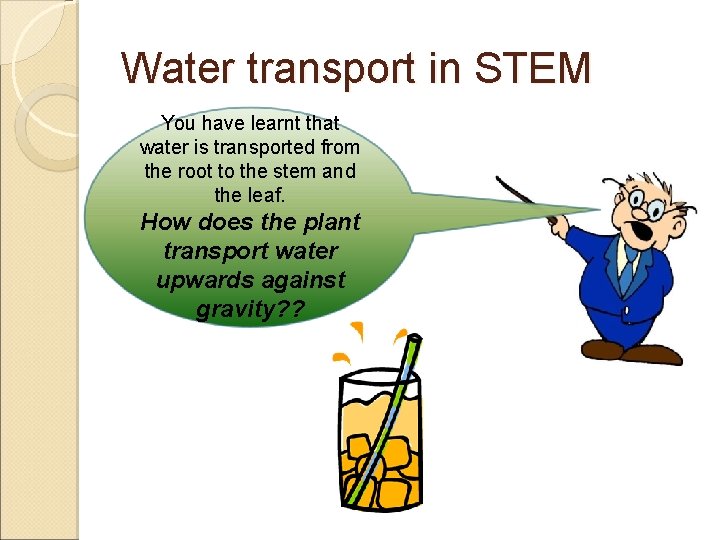 Water transport in STEM You have learnt that water is transported from the root