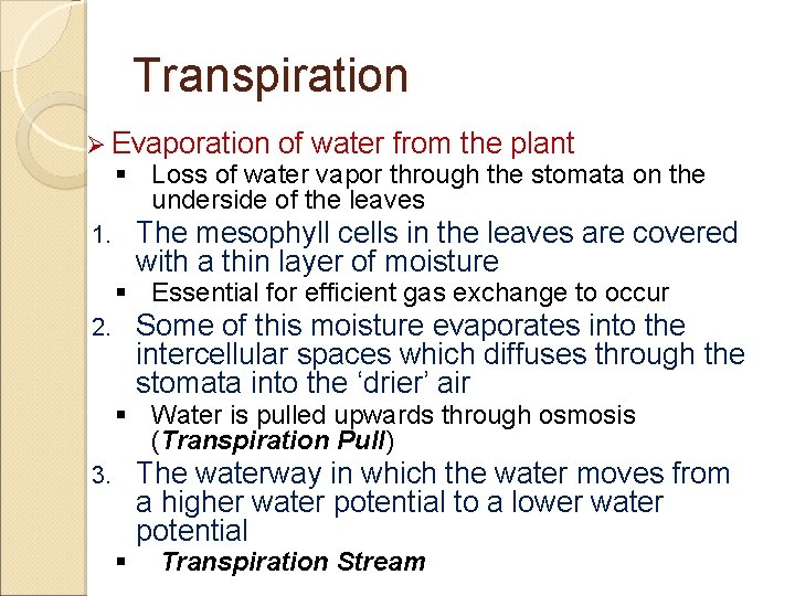 Transpiration Ø Evaporation of water from the plant § Loss of water vapor through