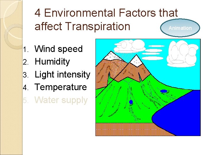 4 Environmental Factors that Animation affect Transpiration 1. 2. 3. 4. 5. Wind speed