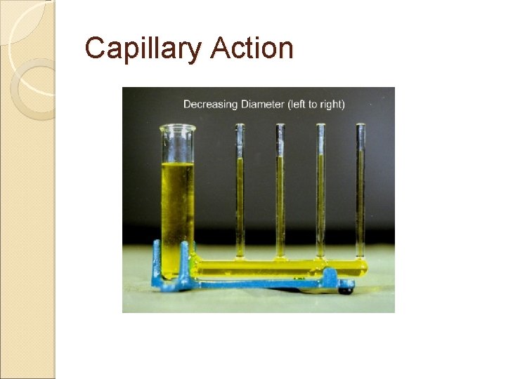 Capillary Action 