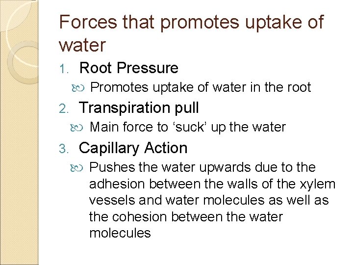 Forces that promotes uptake of water 1. Root Pressure Promotes uptake of water in