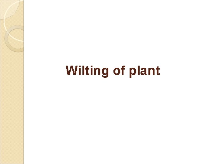 Wilting of plant 