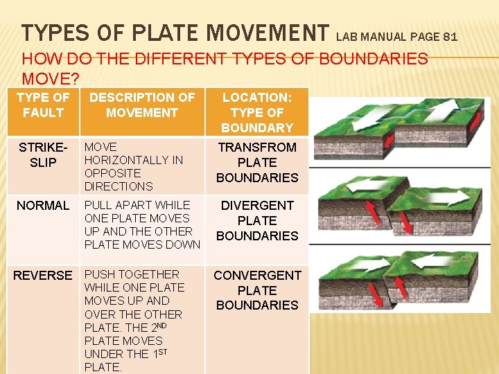 TYPES OF PLATE MOVEMENT LAB MANUAL PAGE 81 HOW DO THE DIFFERENT TYPES OF