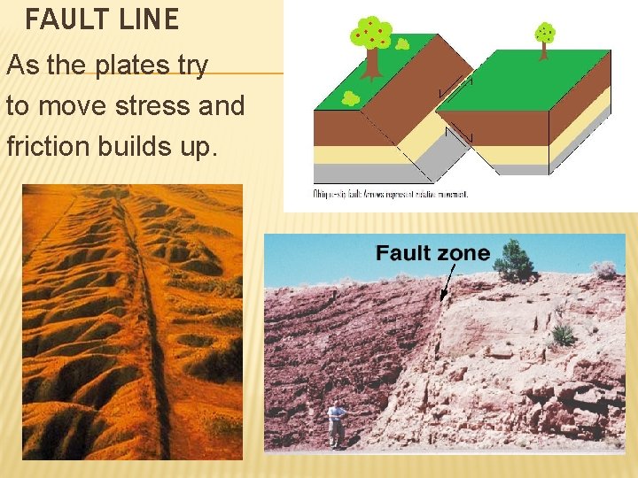 FAULT LINE As the plates try to move stress and friction builds up. 