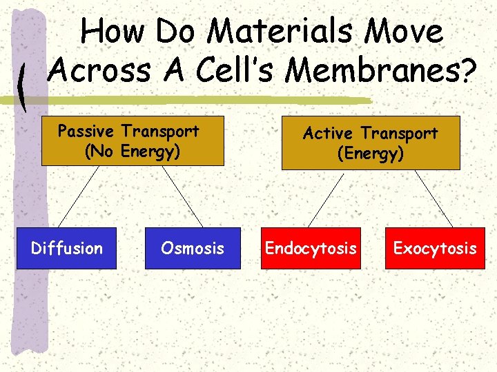 How Do Materials Move Across A Cell’s Membranes? Passive Transport (No Energy) Diffusion Osmosis