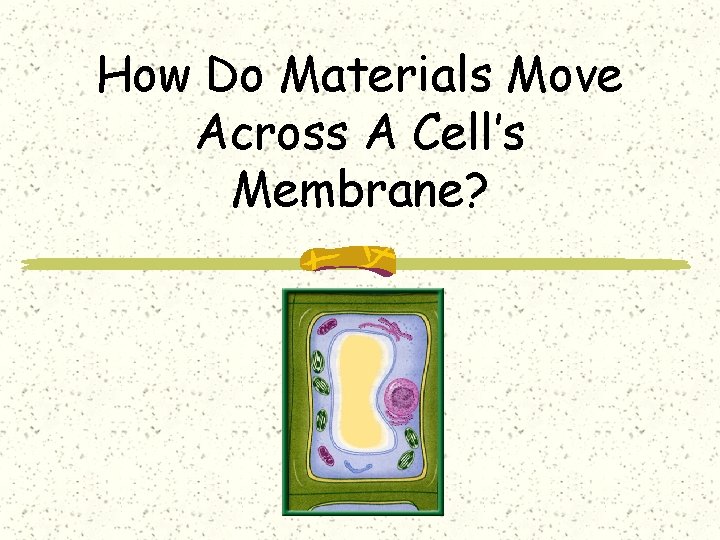 How Do Materials Move Across A Cell’s Membrane? 
