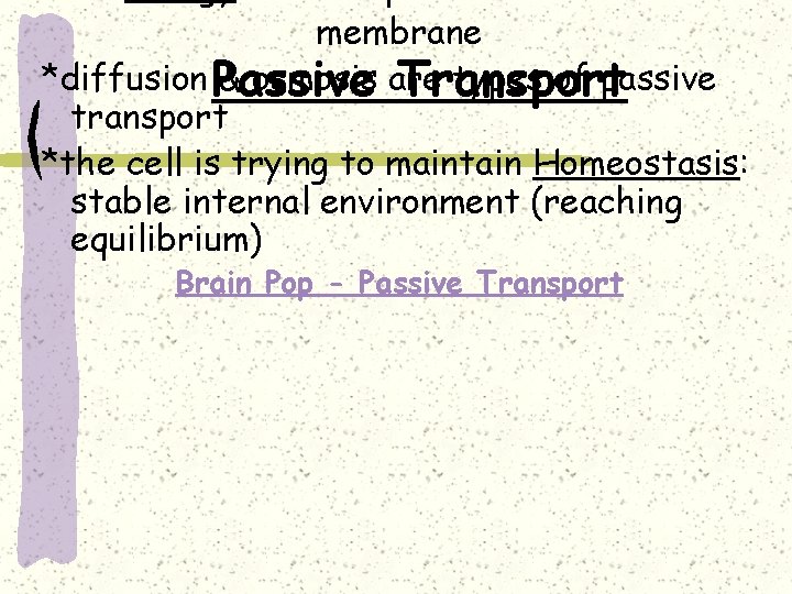 membrane *diffusion Passive & osmosis are types of passive Transport transport *the cell is