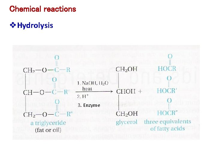 Chemical reactions v. Hydrolysis 3. Enzyme 