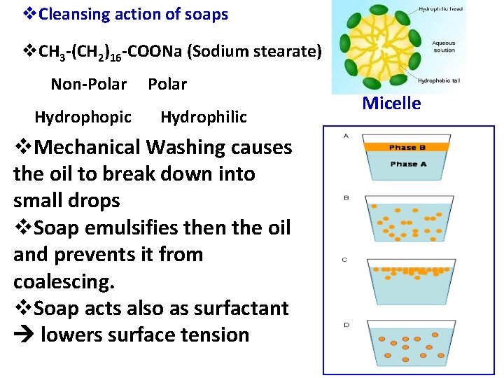 v. Cleansing action of soaps v. CH 3 -(CH 2)16 -COONa (Sodium stearate) Non-Polar v. Cleansing action of soaps v. CH 3 -(CH 2)16 -COONa (Sodium stearate) Non-Polar