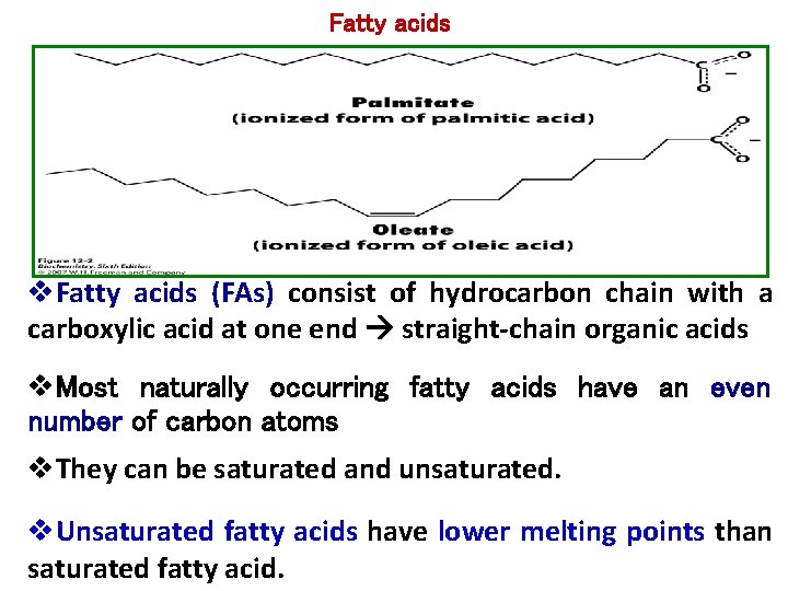 Fatty acids v. Fatty acids (FAs) consist of hydrocarbon chain with a carboxylic acid