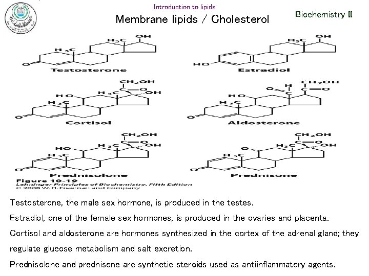 Introduction to lipids Membrane lipids / Cholesterol Biochemistry II Testosterone, the male sex hormone, Introduction to lipids Membrane lipids / Cholesterol Biochemistry II Testosterone, the male sex hormone,