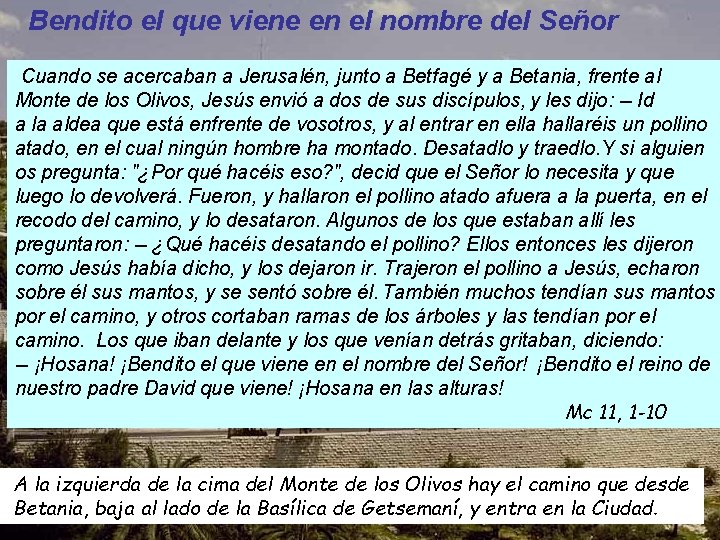 Bendito el que viene en el nombre del Señor Cuando se acercaban a Jerusalén,