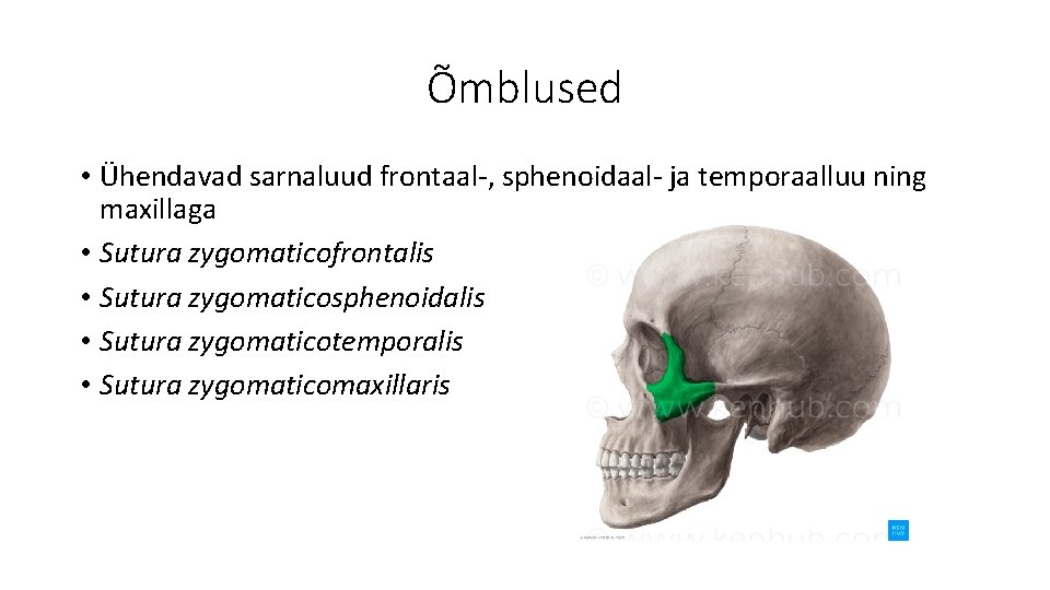 Õmblused • Ühendavad sarnaluud frontaal-, sphenoidaal- ja temporaalluu ning maxillaga • Sutura zygomaticofrontalis •