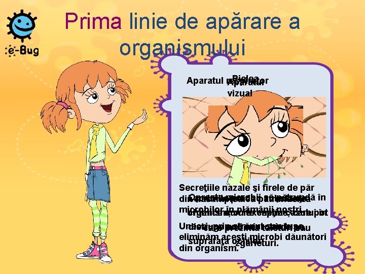 Prima linie de apărare a organismului Pielea Aparatul respirator Aparatul vizual Secreţiile nazale şi