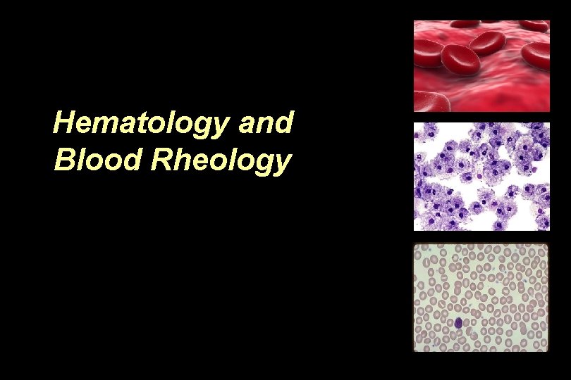 Hematology and Blood Rheology 