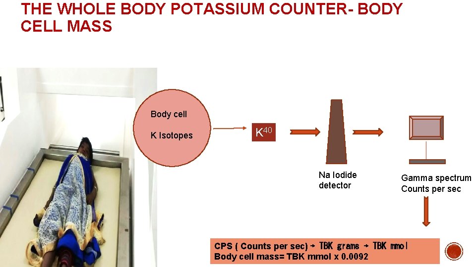 THE WHOLE BODY POTASSIUM COUNTER- BODY CELL MASS Body cell K Isotopes K 40 THE WHOLE BODY POTASSIUM COUNTER- BODY CELL MASS Body cell K Isotopes K 40