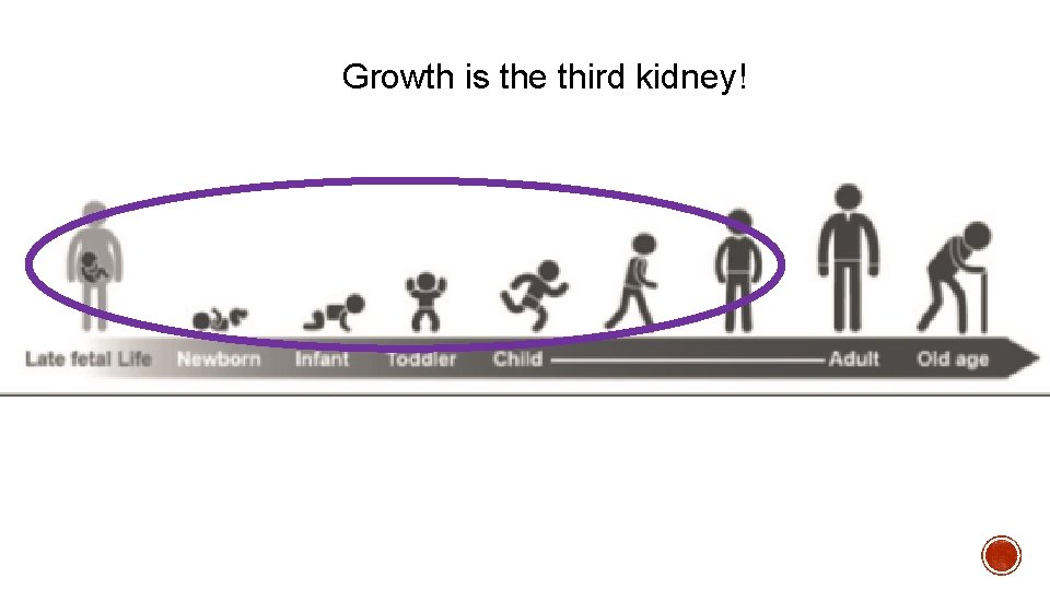 Growth is the third kidney! Growth is the third kidney!