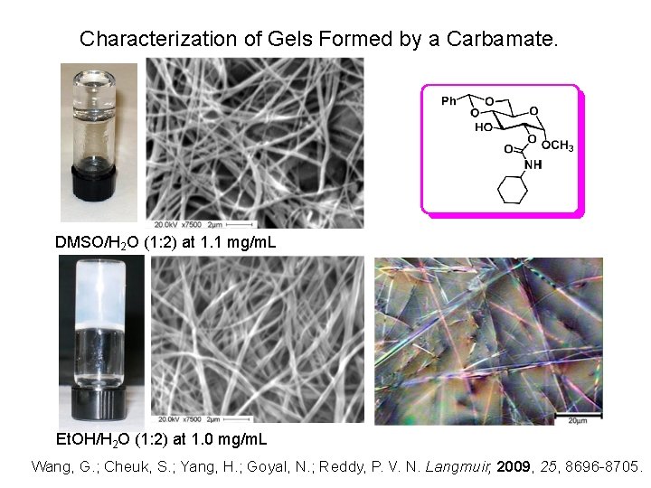 Characterization of Gels Formed by a Carbamate. DMSO/H 2 O (1: 2) at 1.