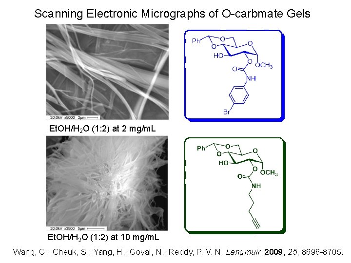 Scanning Electronic Micrographs of O-carbmate Gels Et. OH/H 2 O (1: 2) at 2