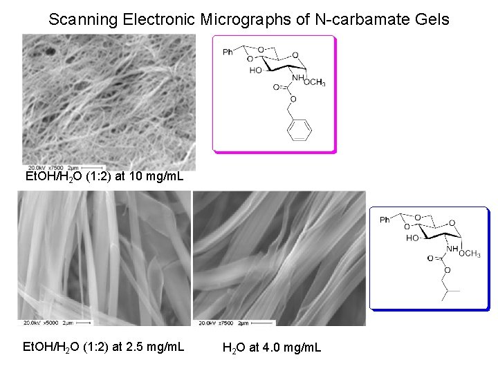 Scanning Electronic Micrographs of N-carbamate Gels Et. OH/H 2 O (1: 2) at 10