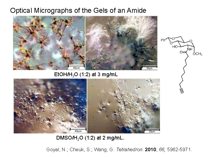 Optical Micrographs of the Gels of an Amide Et. OH/H 2 O (1: 2)