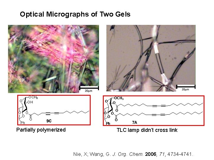 Optical Micrographs of Two Gels O O O Ph OCH 3 OH O O