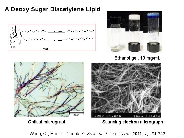 A Deoxy Sugar Diacetylene Lipid O O O Ph O O 15 A Ethanol