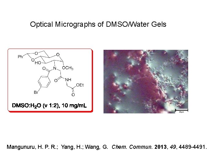 Optical Micrographs of DMSO/Water Gels Mangunuru, H. P. R. ; Yang, H. ; Wang,