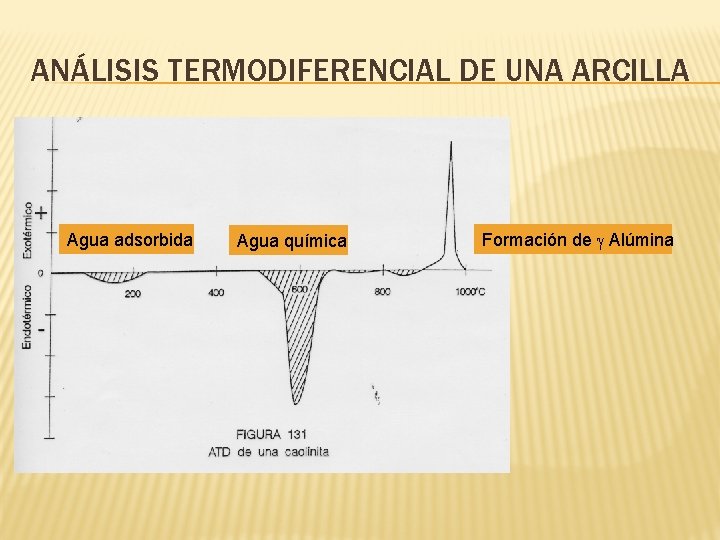 ANÁLISIS TERMODIFERENCIAL DE UNA ARCILLA Agua adsorbida Agua química Formación de Alúmina 