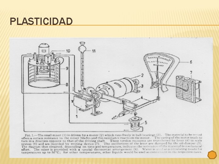 PLASTICIDAD 