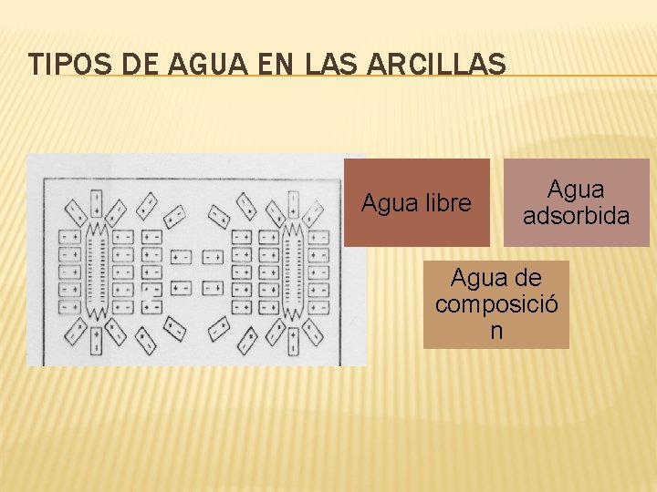 TIPOS DE AGUA EN LAS ARCILLAS Agua libre Agua adsorbida Agua de composició n