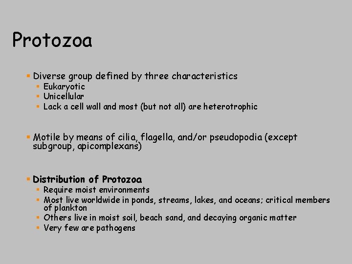 Protozoa § Diverse group defined by three characteristics § Eukaryotic § Unicellular § Lack