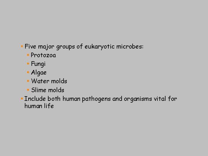 § Five major groups of eukaryotic microbes: § Protozoa § Fungi § Algae §