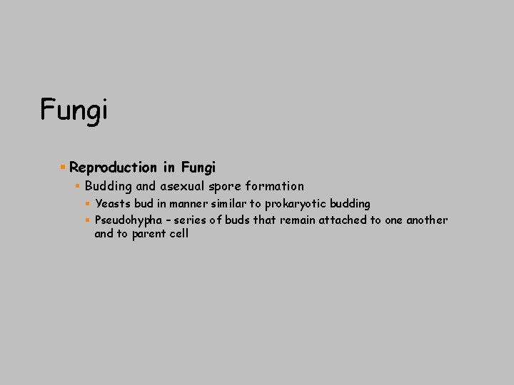 Fungi § Reproduction in Fungi § Budding and asexual spore formation § Yeasts bud