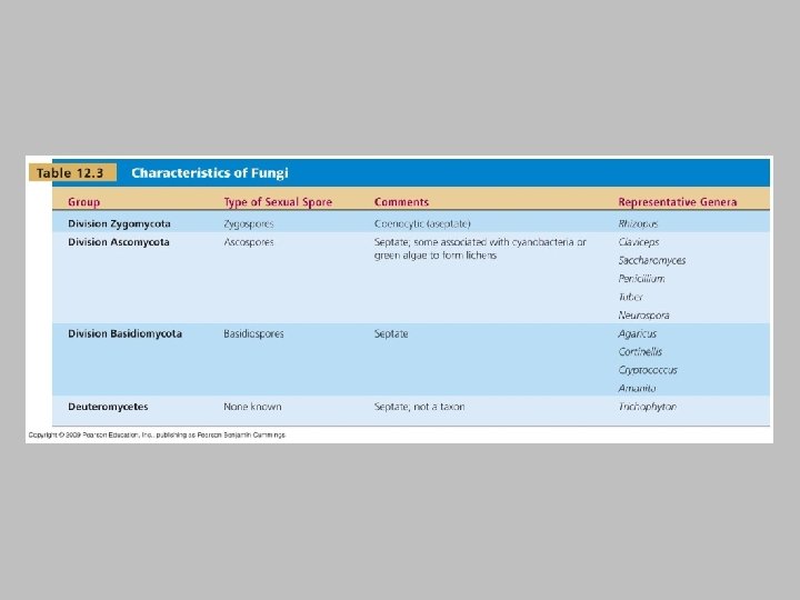 Fungi [INSERT TABLE 12. 3] 