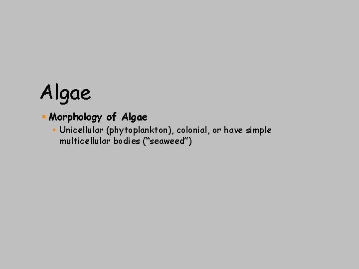Algae § Morphology of Algae § Unicellular (phytoplankton), colonial, or have simple multicellular bodies