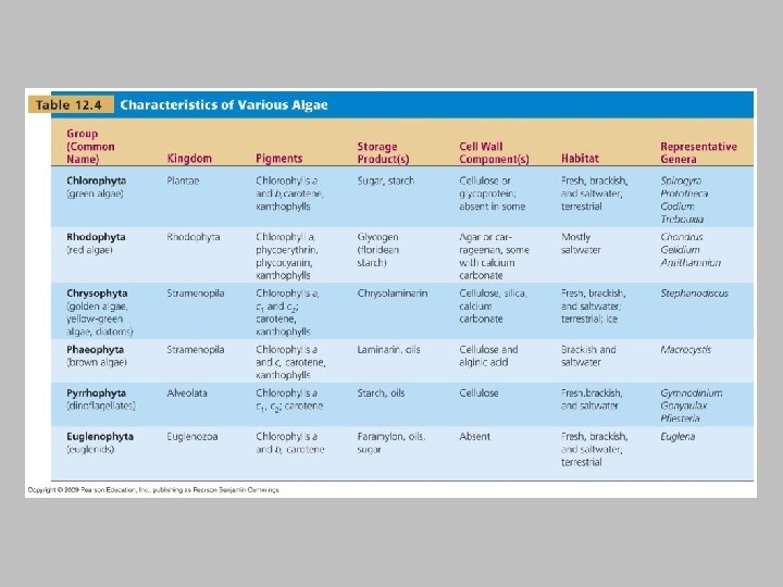 Algae [INSERT TABLE 12. 4] 