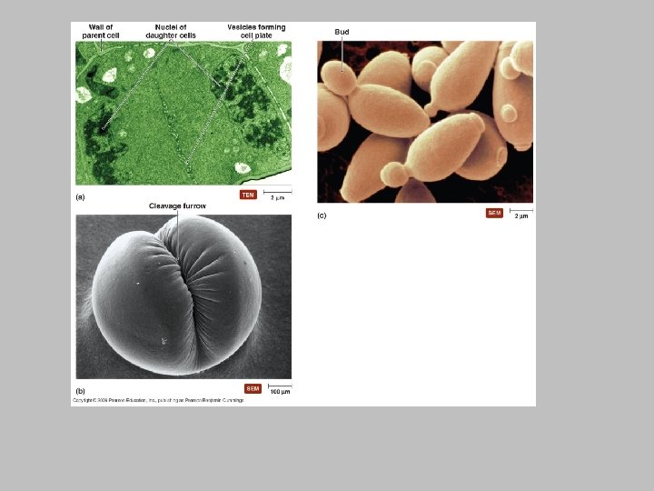 [INSERT FIGURE 12. 2] 