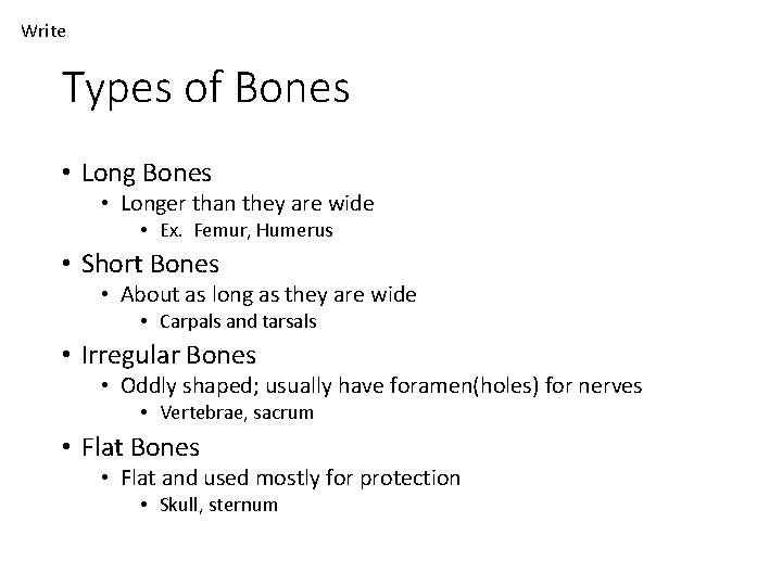 Write Types of Bones • Long Bones • Longer than they are wide •