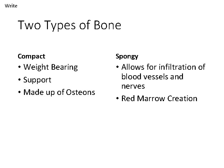 Write Two Types of Bone Compact Spongy • Weight Bearing • Support • Made