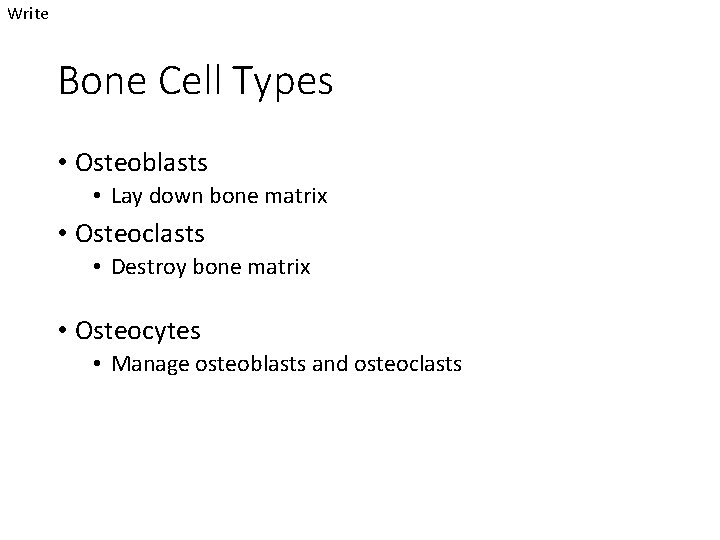 Write Bone Cell Types • Osteoblasts • Lay down bone matrix • Osteoclasts •