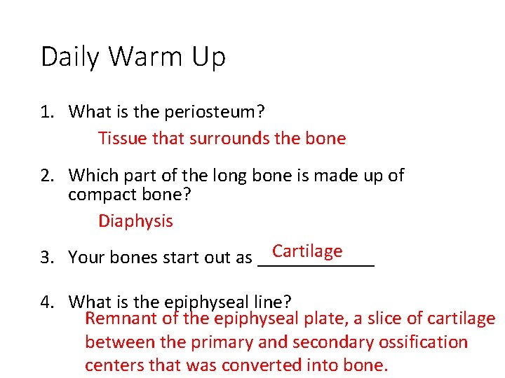 Daily Warm Up 1. What is the periosteum? Tissue that surrounds the bone 2.