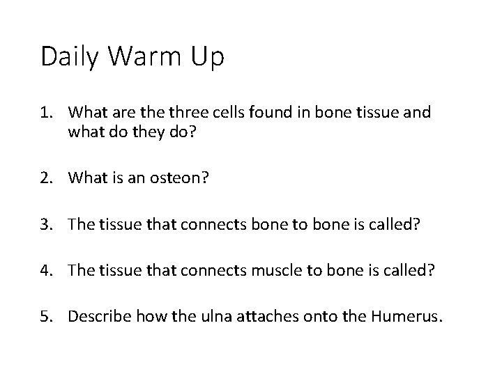 Daily Warm Up 1. What are three cells found in bone tissue and what