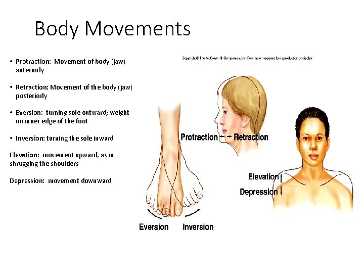 Body Movements • Protraction: Movement of body (jaw) anteriorly • Retraction: Movement of the
