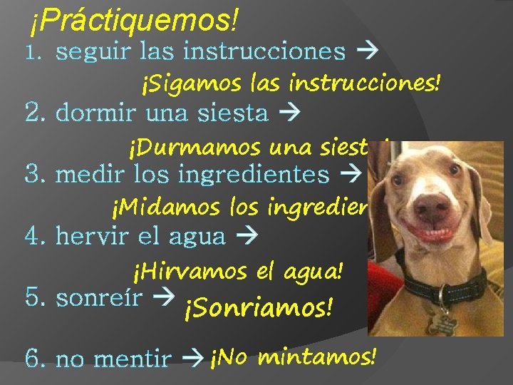 ¡Práctiquemos! 1. seguir las instrucciones ¡Sigamos las instrucciones! 2. dormir una siesta ¡Durmamos una ¡Práctiquemos! 1. seguir las instrucciones ¡Sigamos las instrucciones! 2. dormir una siesta ¡Durmamos una