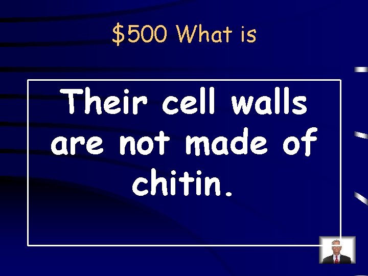 $500 What is Their cell walls are not made of chitin. 