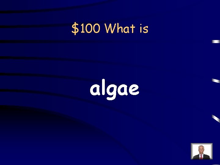 $100 What is algae 